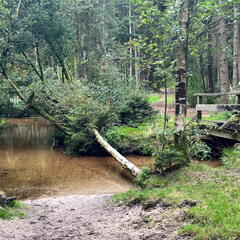 23-09-18 12-01-44 7028